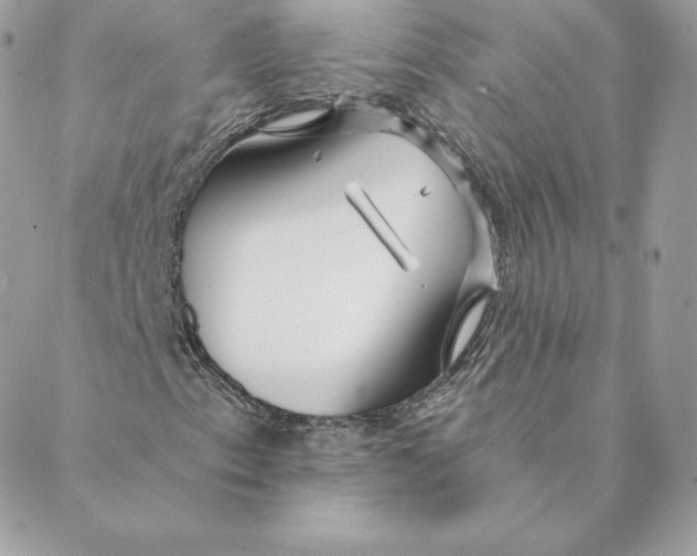 X0000088571153200706151639