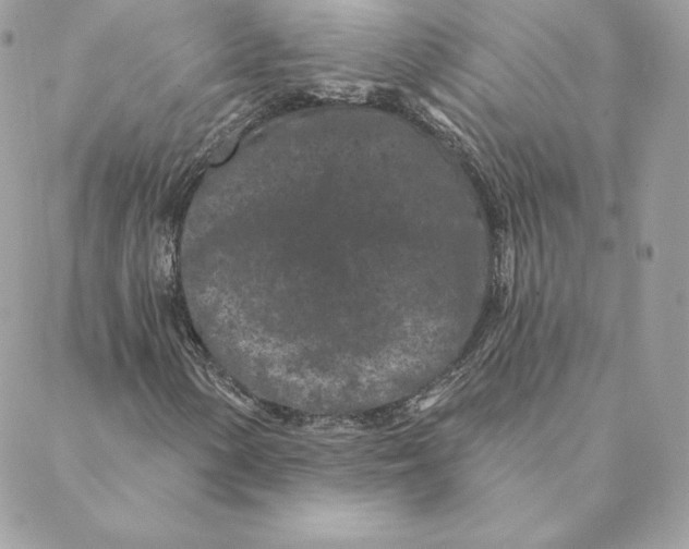 X0000088571154200706151639