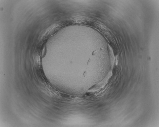 X0000088571155200706151639