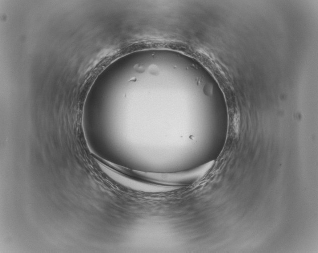 X0000088571157200706151639