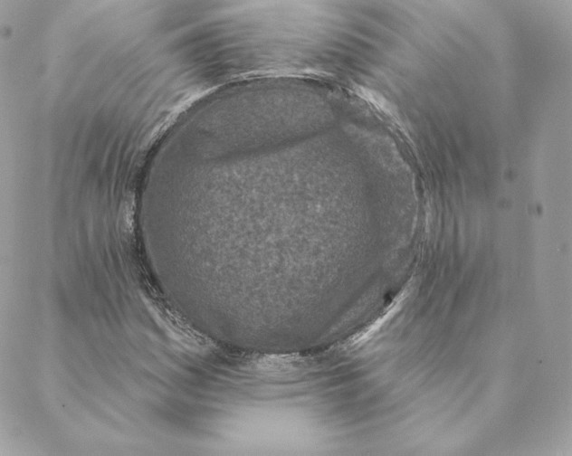 X0000088571161200706151639