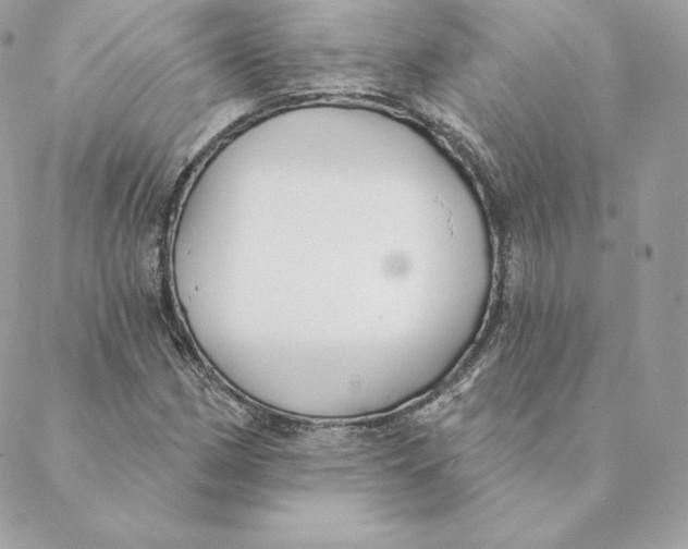 X0000088571162200706151639