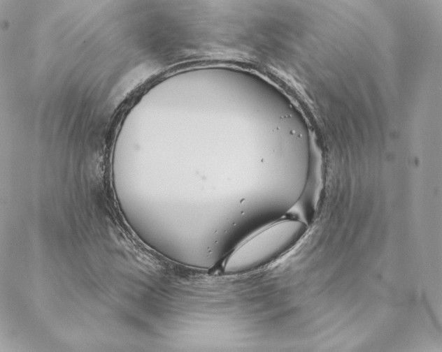 X0000088571163200706151639