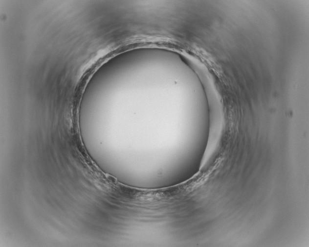 X0000088571165200706151639