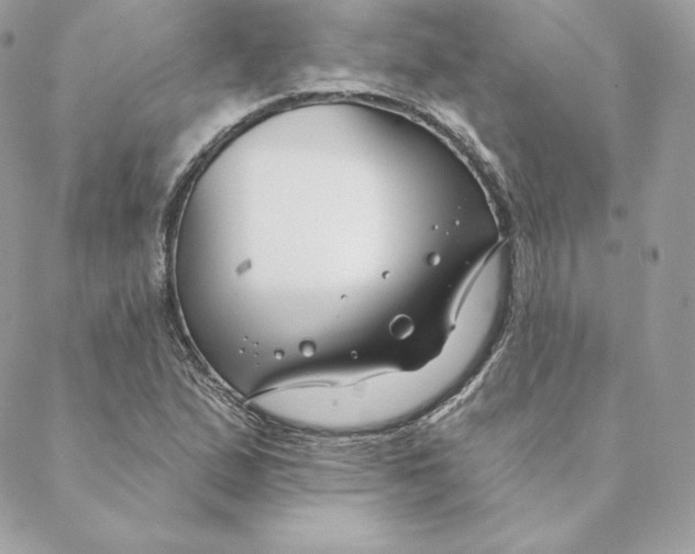 X0000088571167200706151639