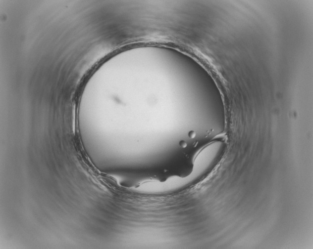 X0000088571171200706151639