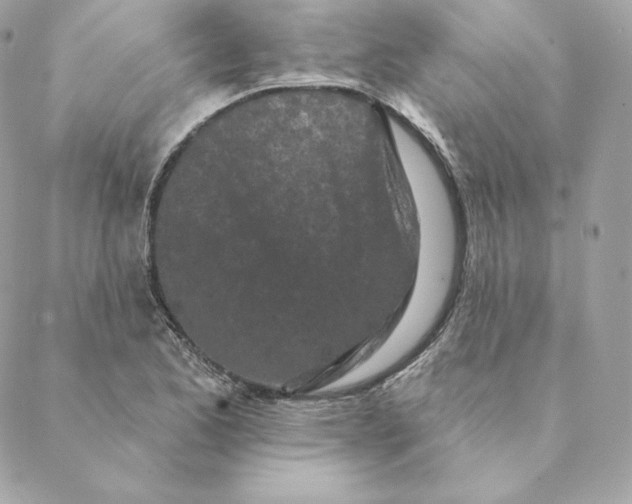 X0000088571173200706151639