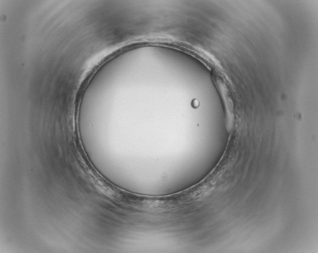 X0000088571176200706151639