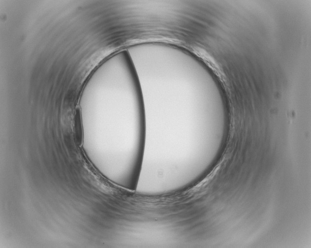 X0000088571177200706151639