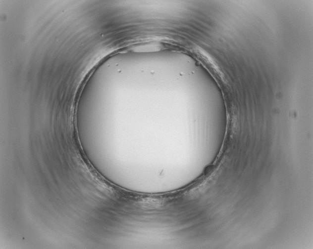 X0000088571178200706151639