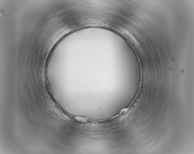 X0000088571182200706151639