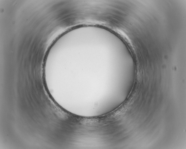 X0000088571183200706151639