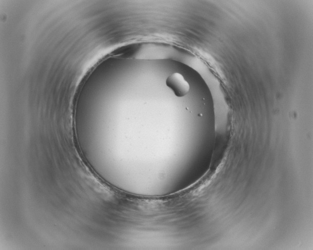 X0000088571184200706151639