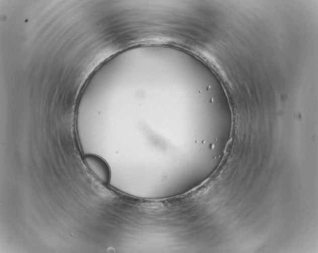 X0000088571186200706151639