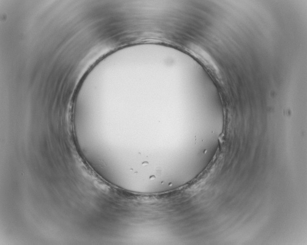 X0000088571190200706151639