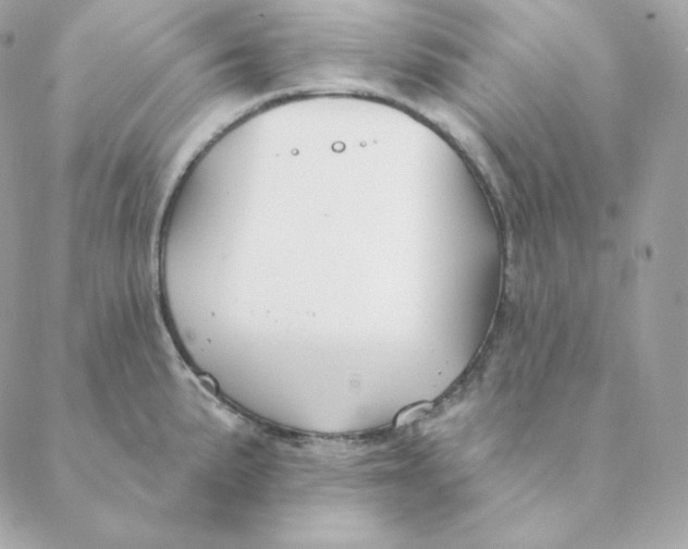 X0000088571191200706151639