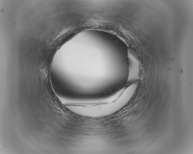 X0000088571206200706151638