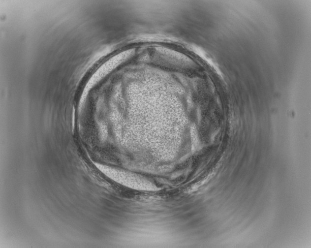 X0000088571221200706151638