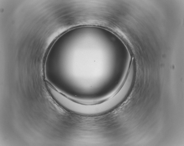 X0000088571230200706151638