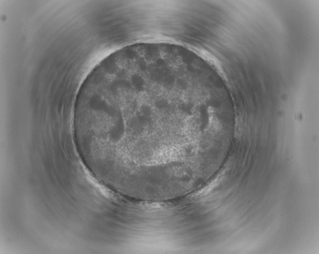 X0000088571231200706151638
