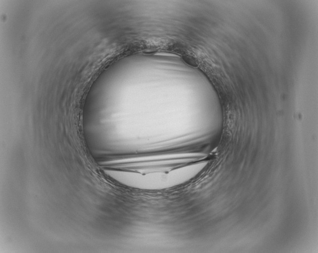 X0000088571249200706151638