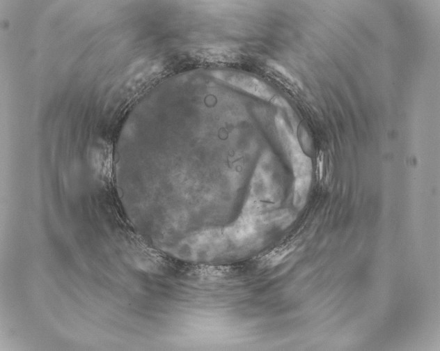 X0000088571251200706151638