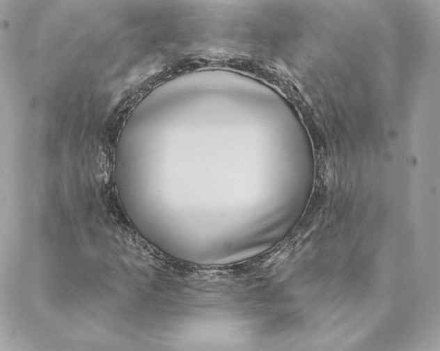 X0000088571253200706151638
