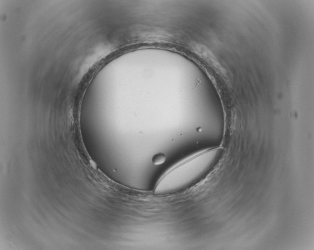 X0000088571261200706151637