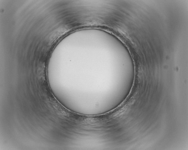 X0000088571265200706151637