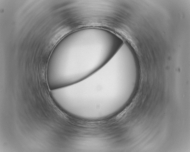 X0000088571273200706151637