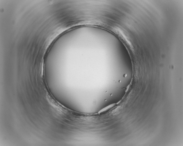 X0000088571276200706151637