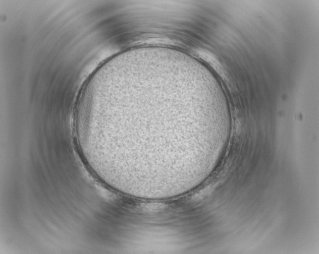 X0000088571282200706151637