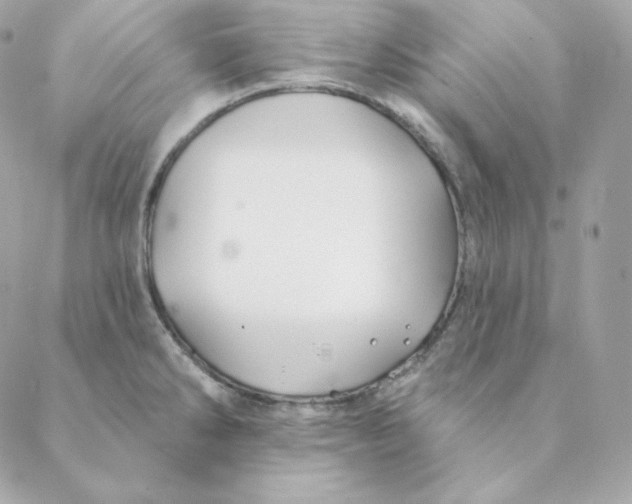 X0000088571286200706151637