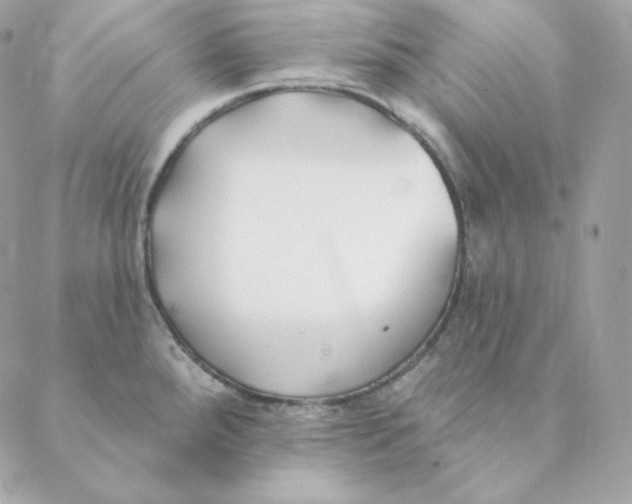 X0000088571288200706151637