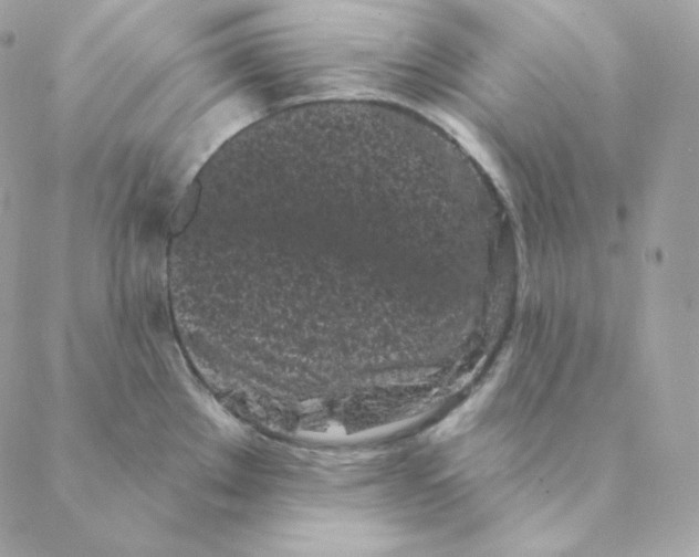 X0000088571289200706151637
