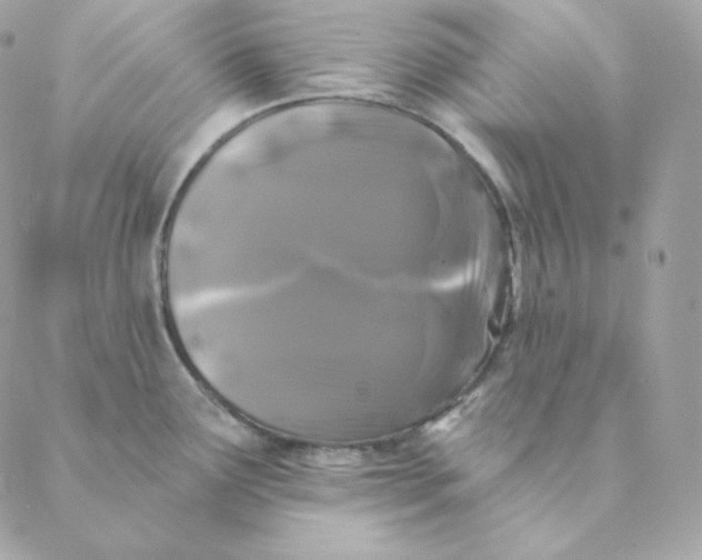 X0000088571291200706151637