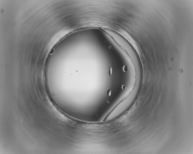 X0000088571293200706151637