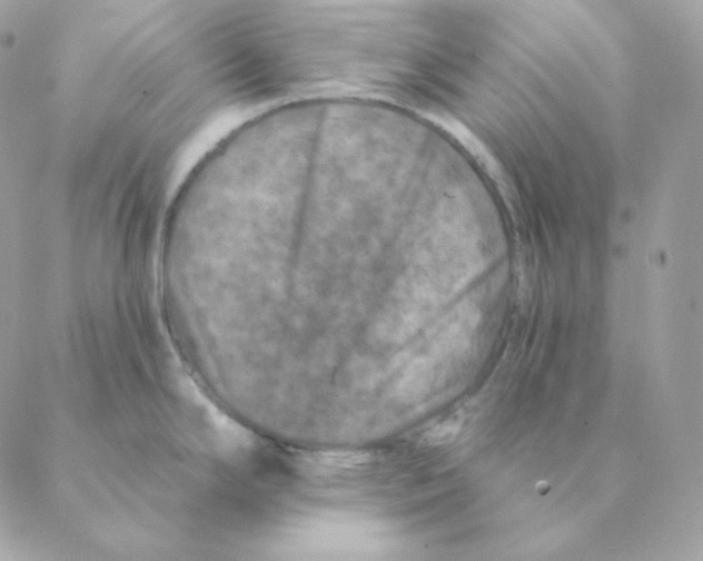 X0000088571294200706151637