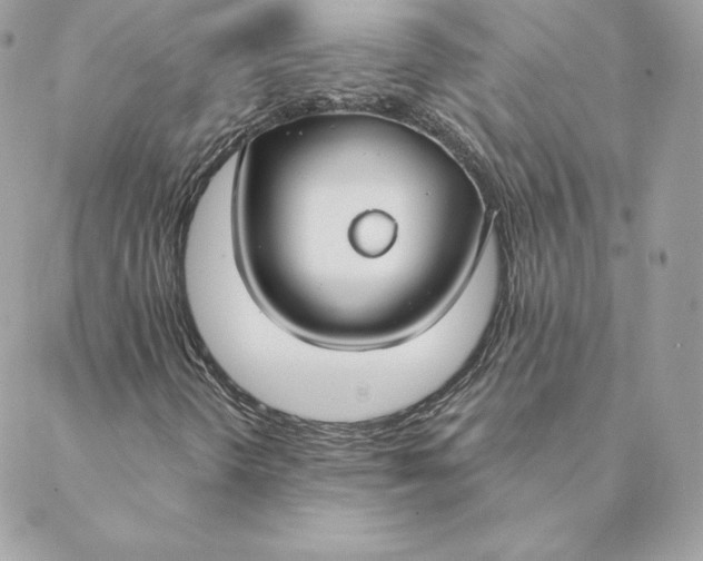 X0000088571298200706151636