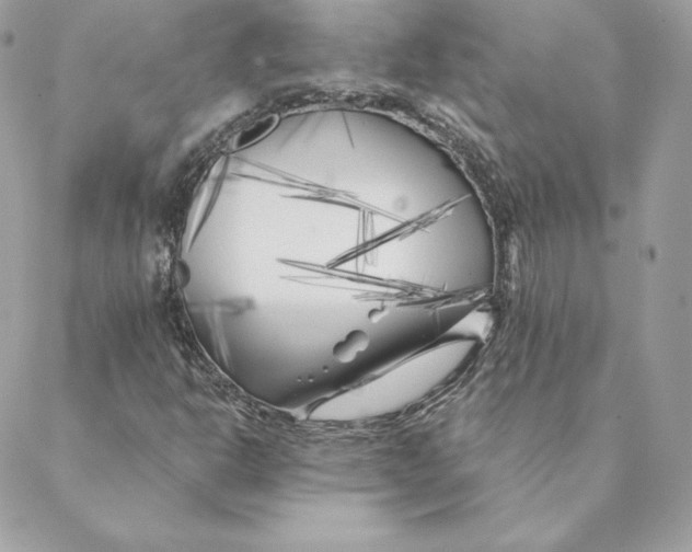 X0000088571302200706151636