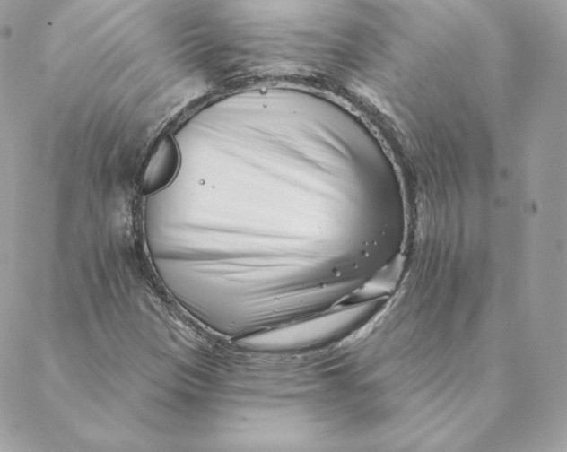 X0000088571305200706151636