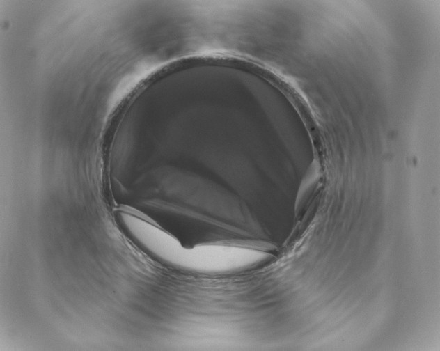 X0000088571319200706151636