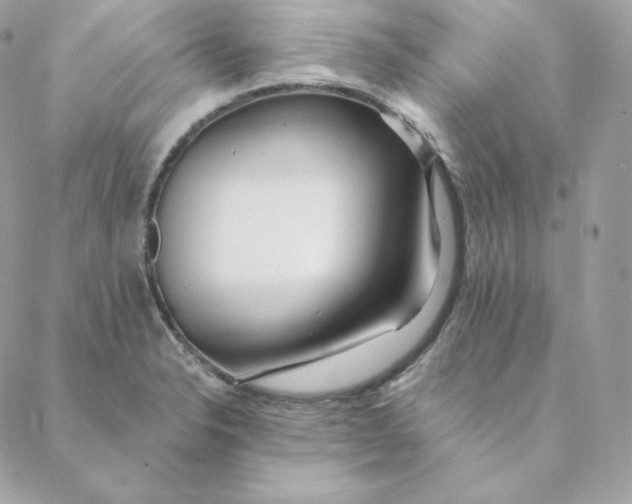 X0000088571326200706151637