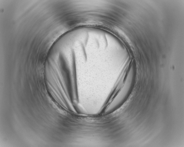 X0000088571329200706151637