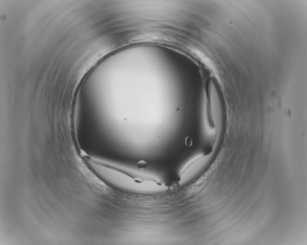 X0000088571330200706151637