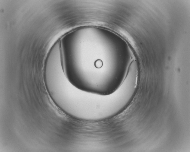 X0000088571332200706151637