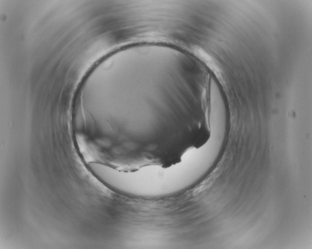 X0000088571334200706151637