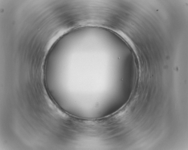 X0000088571341200706151637