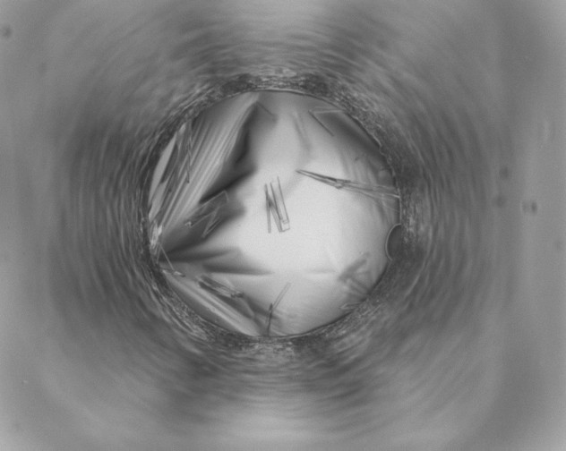 X0000088571346200706151636