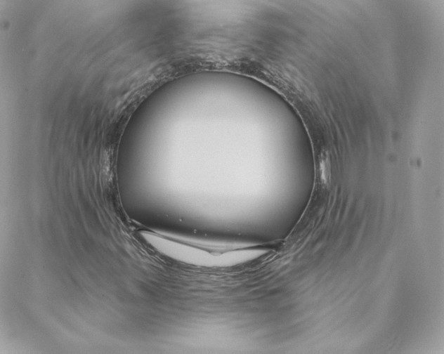 X0000088571347200706151636